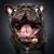Zac Sieffert's profile image