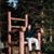 Andrew Alison's profile image