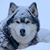 Chris Kroot's profile image