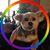 Theresa Strunk's profile image