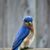 Kathleen Gallagher Brown's profile image