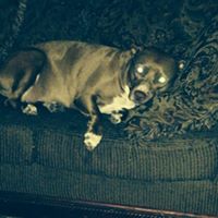 Stacey Berban's profile image