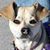Ann Johnson's profile image