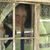 Diane Wilkerson Fortenberry's profile image