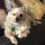 Jane Reppond-Southwick's profile image