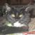 Mike M. Hamby's profile image
