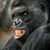 Maxwell Myers's profile image