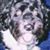 Bob Sievers's profile image