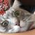 Milagros Pace's profile image