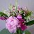 Loretta May Lunestad's profile image