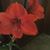 Kay Hassatine's profile image