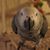 Clete Isenberg's profile image