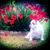 Kelley Francesca Corbari's profile image
