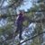 Renate Wilson's profile image