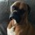 Michelle White Bruner's profile image