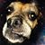 Andres Monroig's profile image