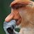 Joseph Anthony's profile image
