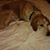 Kathi Stevens Ross's profile image