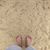 Diane Thomas Roush's profile image