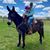Katherine Browne's profile image