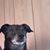 Randy Retherford's profile image