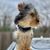 Vona Trimm McDougal's profile image