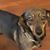 Rhonda Hardy Johnson's profile image