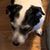 Mike Hengstler's profile image
