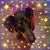 Amanda Massey-Daugherty's profile image