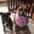 Colleen Galicki's profile image