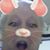 Susan Ault's profile image