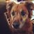 Patricia Brownlee's profile image
