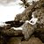 Sandra Stuart Covey's profile image