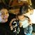 Rocio Ferreira Chavez's profile image
