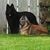 Judy Hoffman's profile image