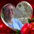 Pedro Nieves's profile image