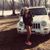 Taylor Skye Augedahl's profile image