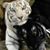 Anita Lebro-Riley's profile image