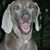 Jodi Styles's profile image