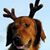 Garin Bougie's profile image