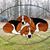 Deb Thompson Skotnicki's profile image
