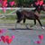 Karen Powell's profile image