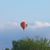 Marla Schuchard's profile image
