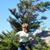 Katherine L. Shivers's profile image