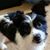 Michelle Lorigo's profile image