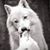 Danine Klinefelter's profile image