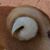 James Carrey's profile image
