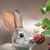 Judy Frank's profile image