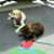 Sharon Snodgrass's profile image