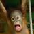 Stuart Wright's profile image